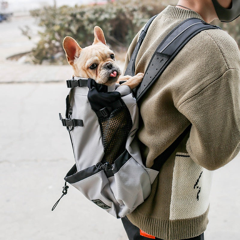 Sac à dos pour chien, voyager ensemble facilement