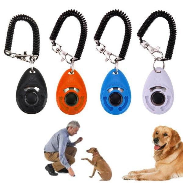 licker d’entraînement pour animaux, apprendre en douceur