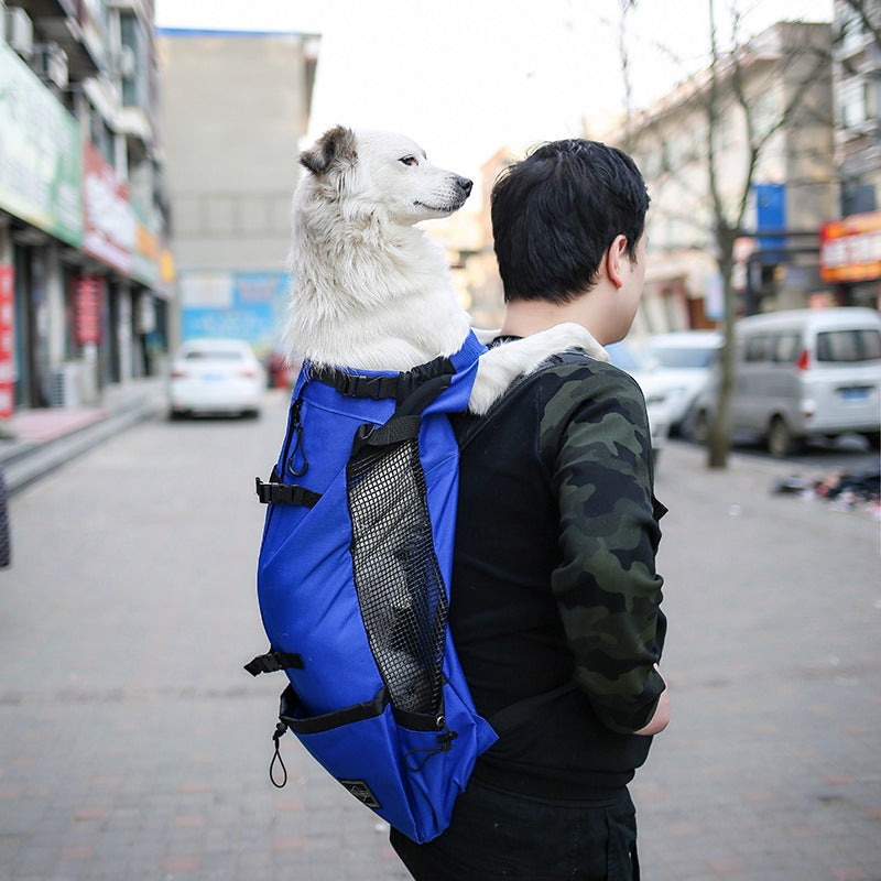 Sac à dos pour chien, voyager ensemble facilement