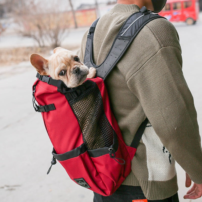 Sac à dos pour chien, voyager ensemble facilement