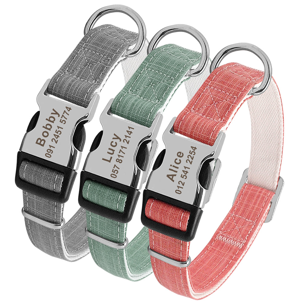 Collier chien personnalisé avec nom et étiquette anti-perte