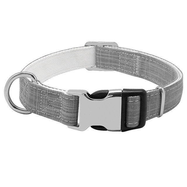 Collier chien personnalisé avec nom et étiquette anti-perte