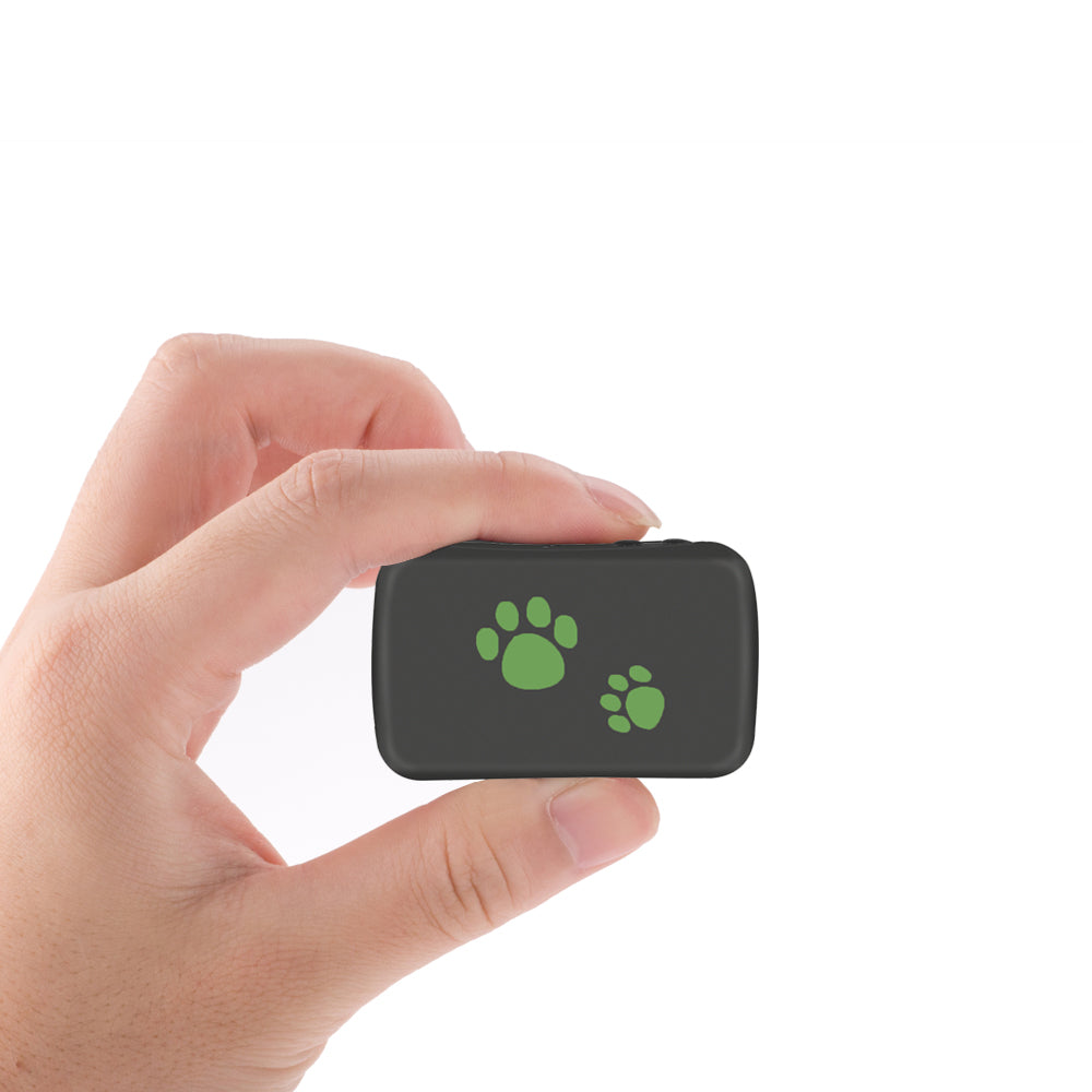 Traceur GPS pour animaux, fini les pertes stressantes